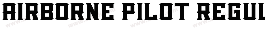 Airborne Pilot Regul字体转换